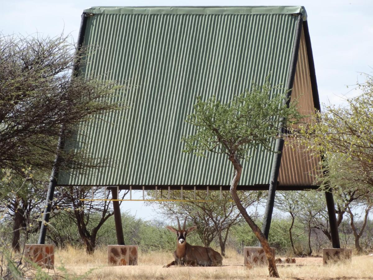 Ovita Wildlife Restcamp Okazize Exterior photo